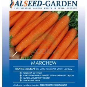 Alseed-Garden Marchew Naba 2000 Szt
