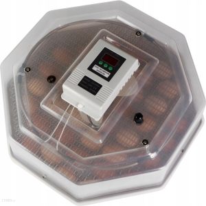 Automatyczny Inkubator Do Jaj Kurzych 60Szt Kwoka