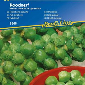 Brukselka Roodnerf Brassica oleracea