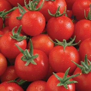 Kiepenkerl Pomidor 'Philovita’ F1 – Cherry – 102389