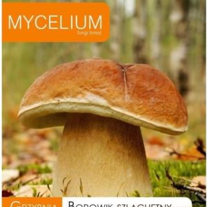 Mycelium Grzybnia Borowik Szlachetny 10G