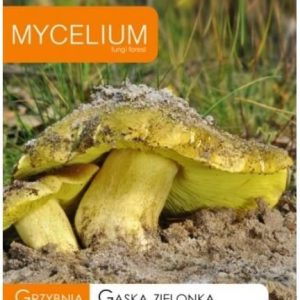 Mycelium Grzybnia Gąska Zielonka 15G