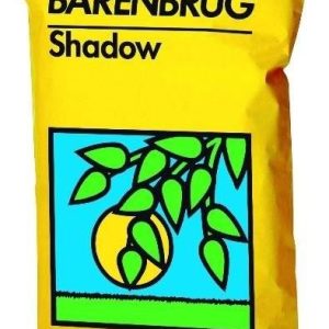 Trawa Barenbrug Reprezentacyjna Na Cień I Słońce Shadow Sun 90Kg