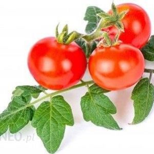 Veritable Wkład Nasienny Lingot Mini Warzywa Pomidorki Koktajlowe