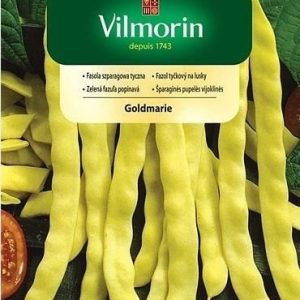Vilmorin Fasola Szparagowa Tyczna Goldmarie 10g