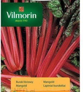 Vilmorin Garden Burak Liściowy Czerwony Rhubarb Chard