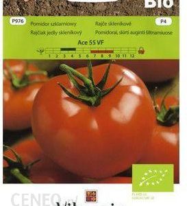 Vilmorin Garden Pomidor Szklarniowy Ace 55 Vf
