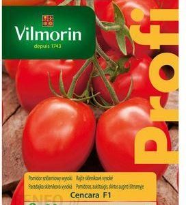 Vilmorin Pomidor Szklarniowy Cencara