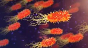 Read more about the article Bakterie do szamba — skuteczne biopreparaty dla zbiorników bezodpływowych